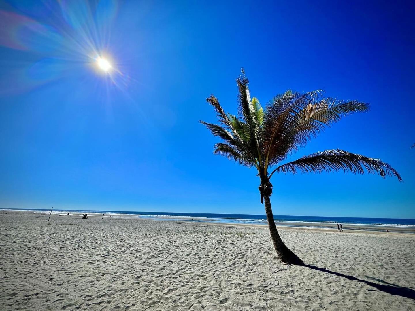 Hotel Tesoro Beach San Luis La Herradura Eksteriør billede